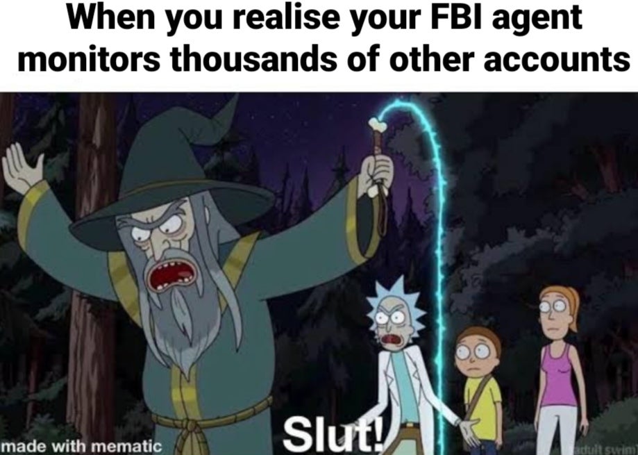rick and morty wizard meme - When you realise your Fbi agent monitors thousands of other accounts Slut! made with mematic Bdult surim