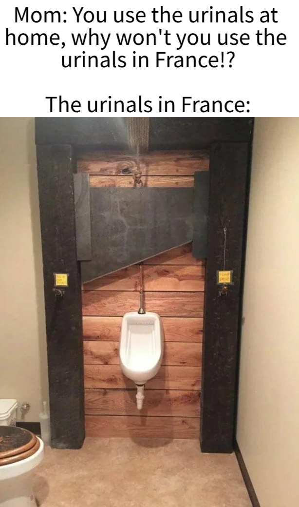 demotivational poster - Mom You use the urinals at home, why won't you use the urinals in France!? The urinals in France