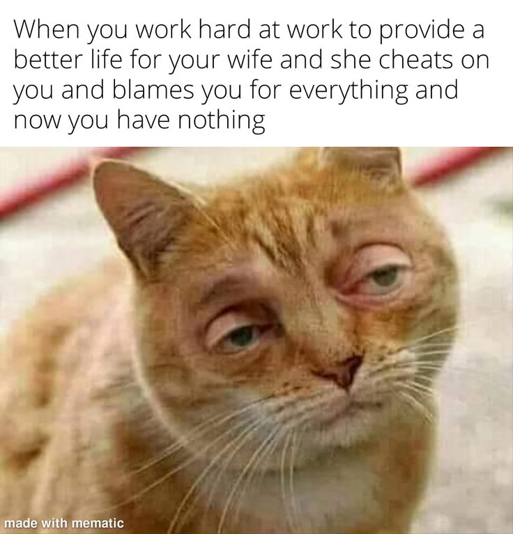 sleepy cat - When you work hard at work to provide a better life for your wife and she cheats on you and blames you for everything and now you have nothing made with mematic