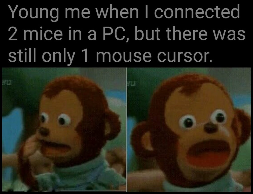 funny memes - Young me when I connected 2 mice in a Pc, but there was still only 1 mouse cursor.