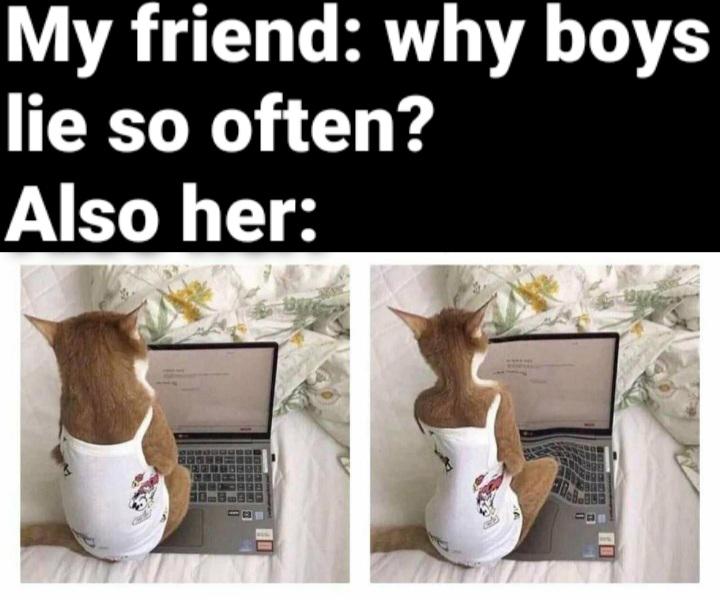 funny memes - instagram influencers be like - My friend why boys lie so often? Also her