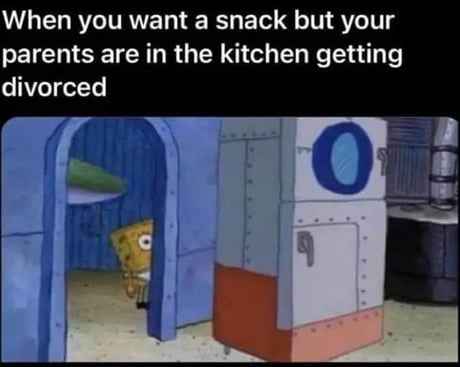 funny memes - you want a snack but your parents - When you want a snack but your parents are in the kitchen getting divorced 0 9