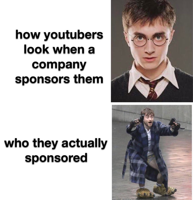 how youtubers look when a company sponsors them who they actually sponsored