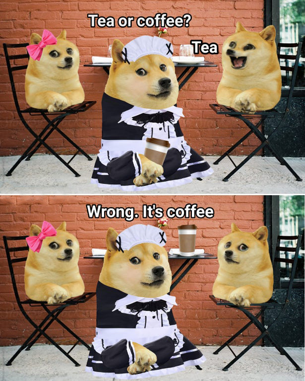 dog - Tea or coffee? X Tea Wrong. It's coffee