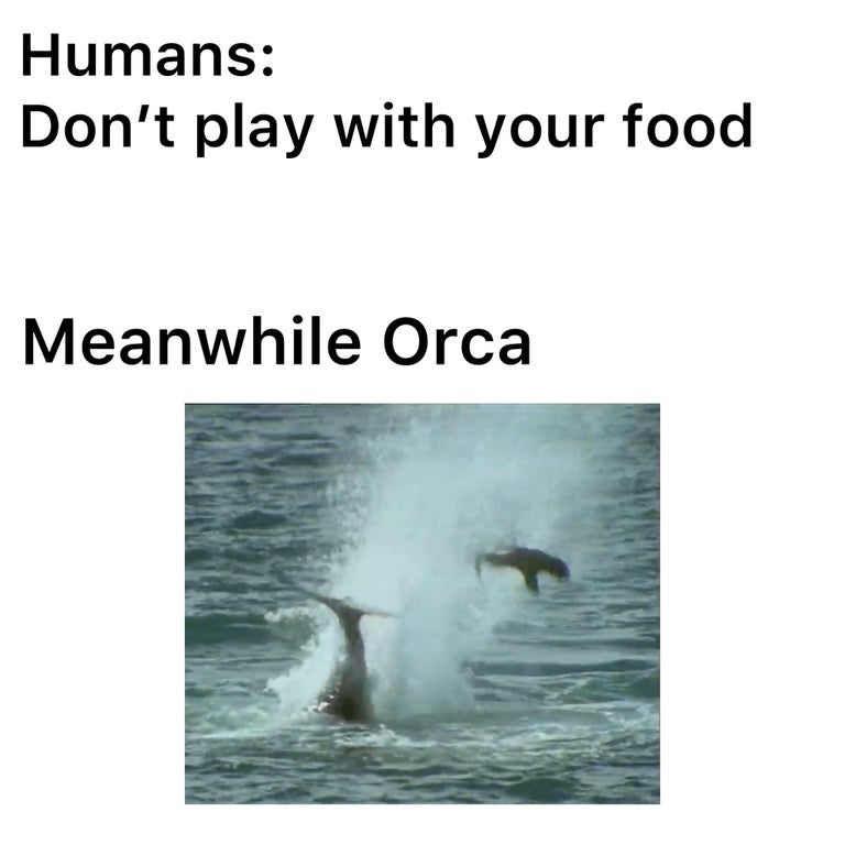 water resources - Humans Don't play with your food Meanwhile Orca