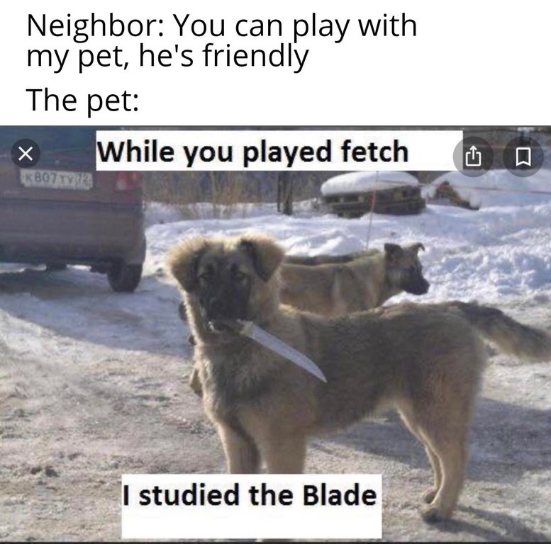 dogs knife - Neighbor You can play with my pet, he's friendly The pet K8073 While you played fetch I studied the Blade