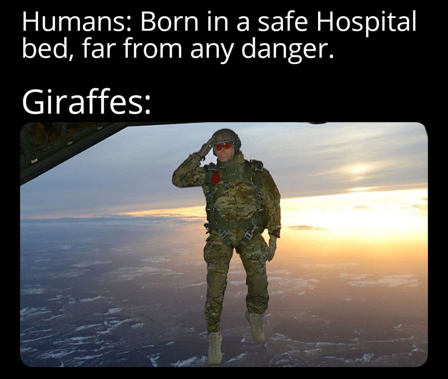 airsoft fields in idaho - Humans Born in a safe Hospital bed, far from any danger. Giraffes