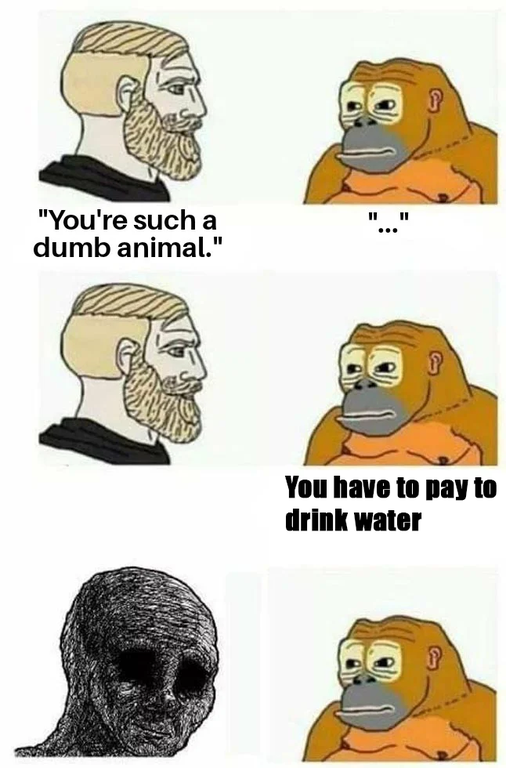 1111 "You're such a dumb animal." You have to pay to drink water