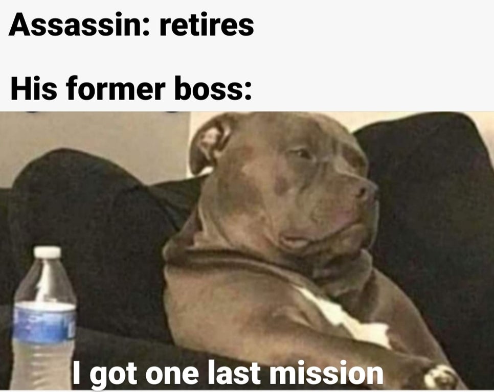 pitbull meme - Assassin retires His former boss I got one last mission