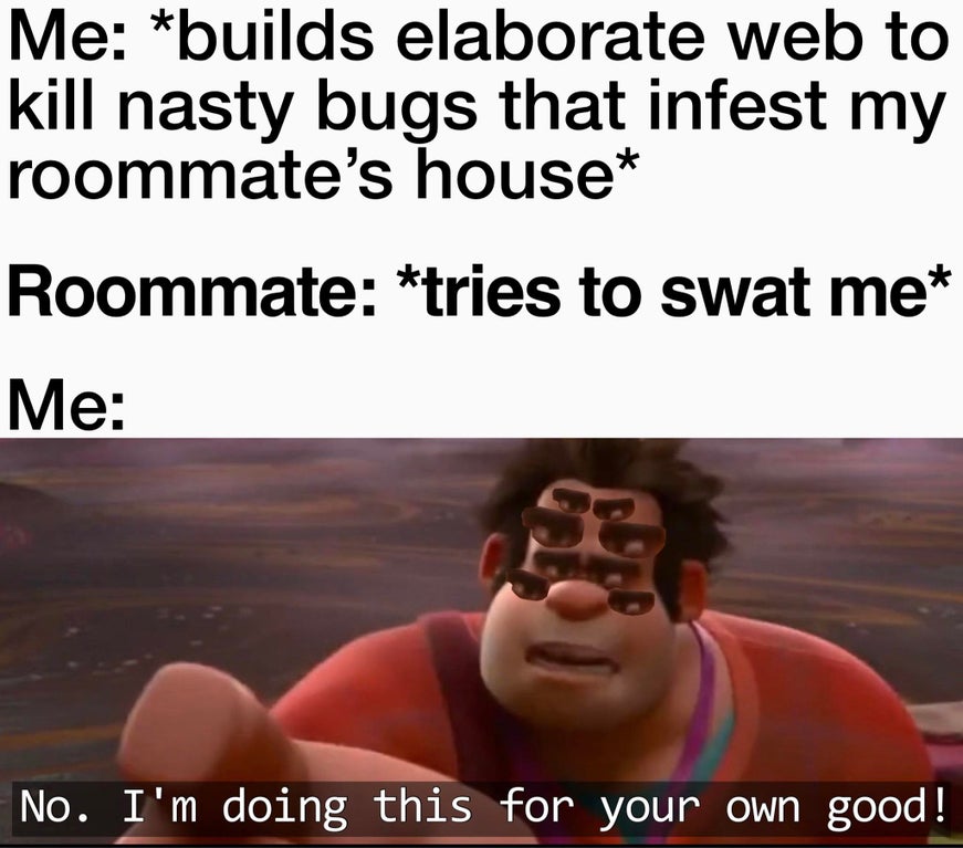 photo caption - Me builds elaborate web to kill nasty bugs that infest my roommate's house Roommate tries to swat me Me No. I'm doing this for your own good!