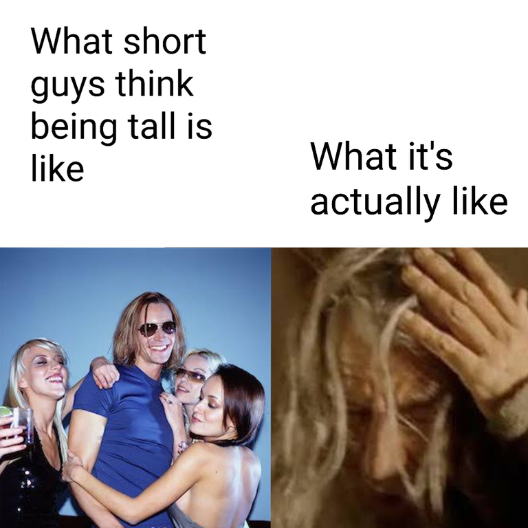 dank memes and pics - human behavior - What short guys think being tall is What it's actually