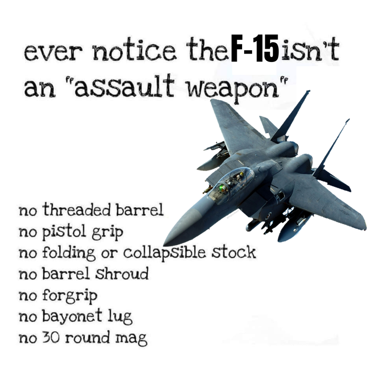 dank memes and pics - nfa meme - ever notice the F15 isn't an "assault weapon" no threaded barrel no pistol grip no folding or collapsible stock no barrel shroud no forgrip no bayonet lug no 30 round mag