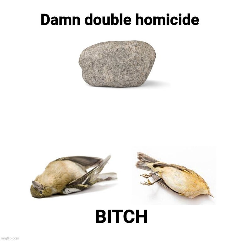 fauna - Damn double homicide Bitch imgflip.com