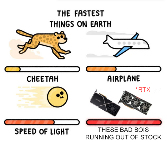 fastest things on earth meme template - The Fastest Things On Earth Cheetah Airplane Rtx Speed Of Light These Bad Bois Running Out Of Stock