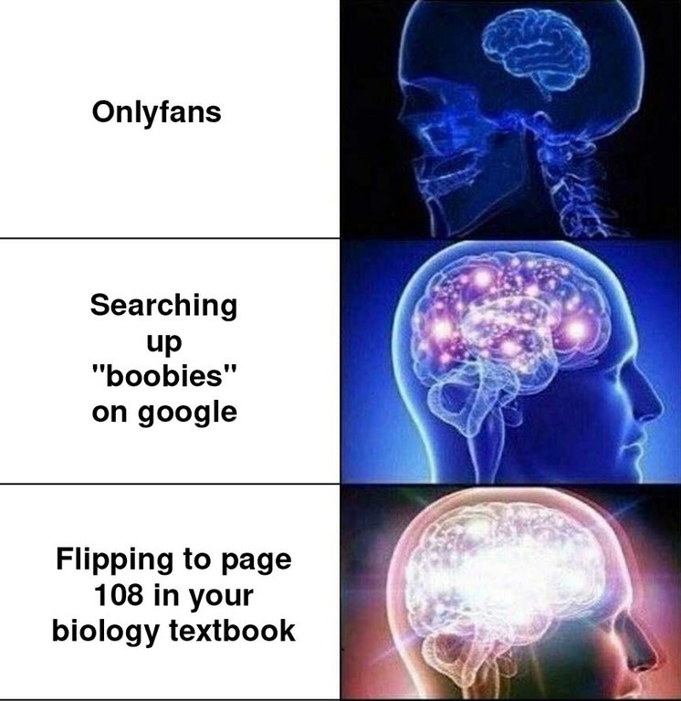 expanding brain meme reddit - Onlyfans Searching up "boobies" on google Flipping to page 108 in your biology textbook