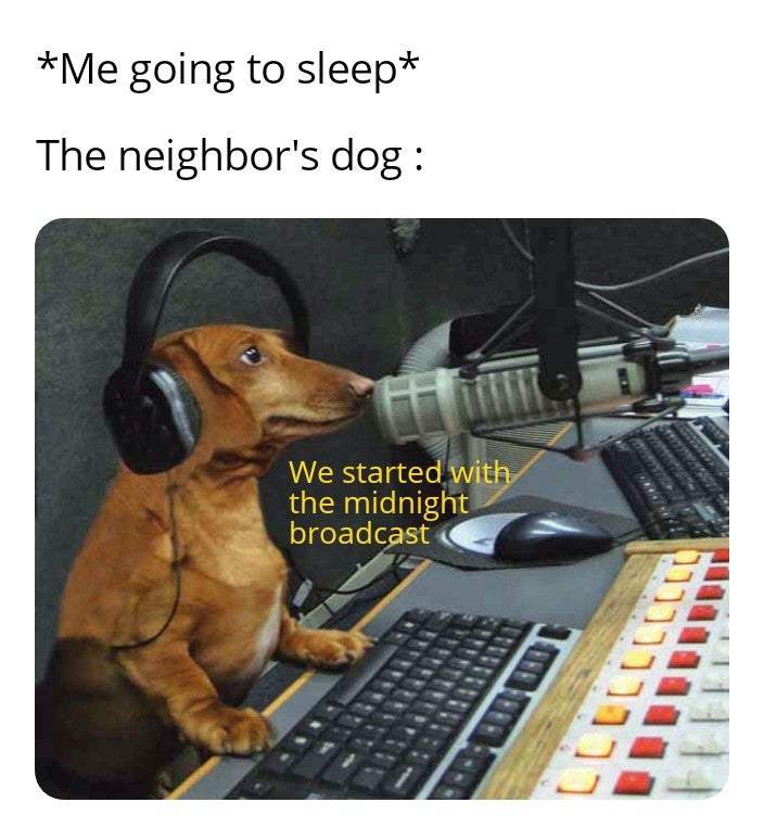 conk creet baybee - Me going to sleep The neighbor's dog We started with the midnight broadcast M