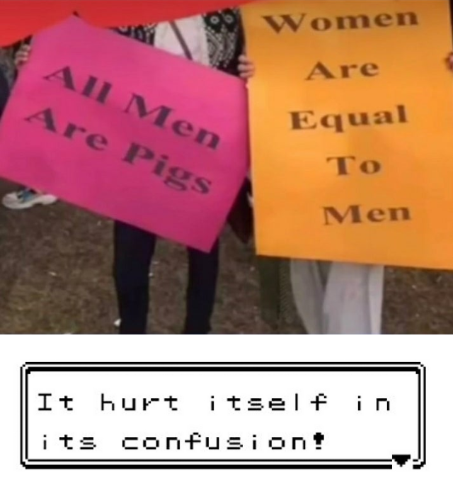 sign - Women Are Aii Men Are Pigs Equal To Men It hurt itself in its confusiont
