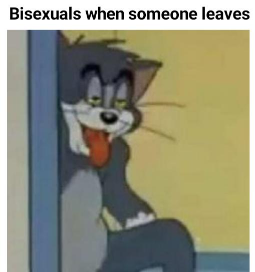 tom meme - Bisexuals when someone leaves