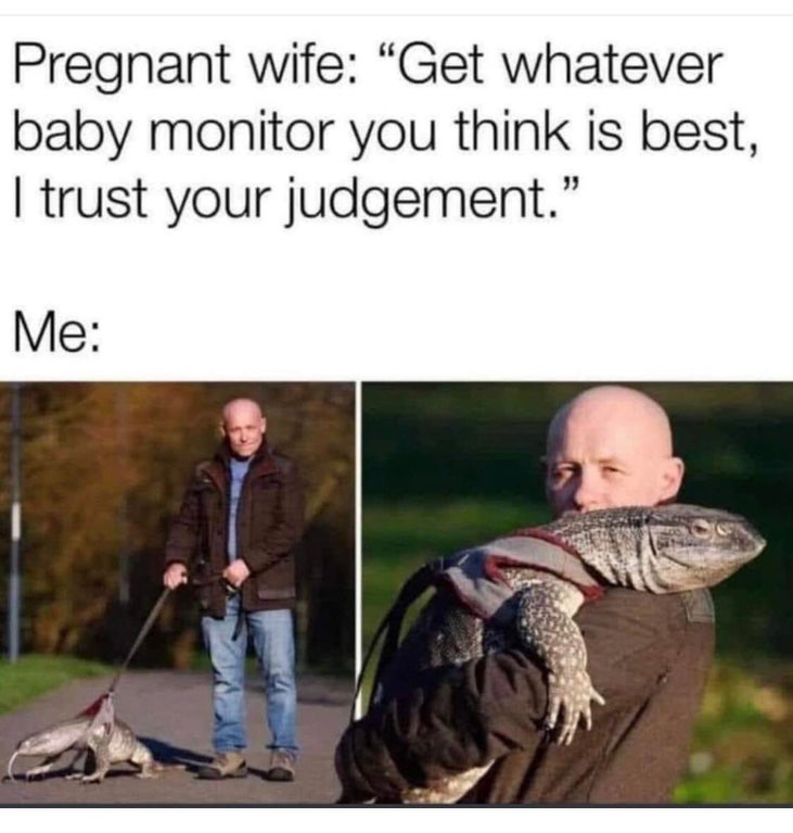reptile memes - Pregnant wife Get whatever baby monitor you think is best, I trust your judgement. Me