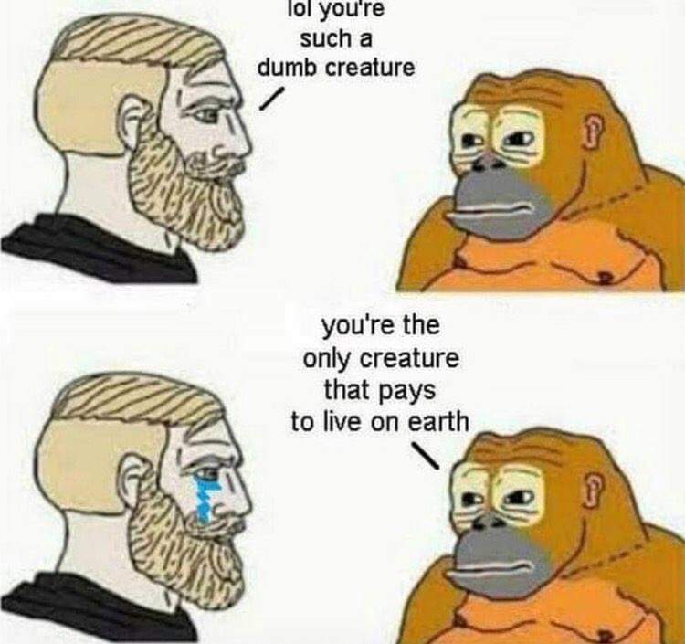 monke wojak - lol you're such a dumb creature i you're the only creature that pays to live on earth i