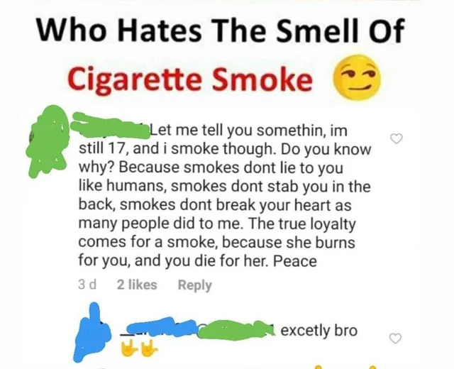 diagram - Who Hates The Smell of Cigarette Smoke Let me tell you somethin, im still 17, and i smoke though. Do you know why? Because smokes dont lie to you humans, smokes dont stab you in the back, smokes dont break your heart as many people did to me. Th