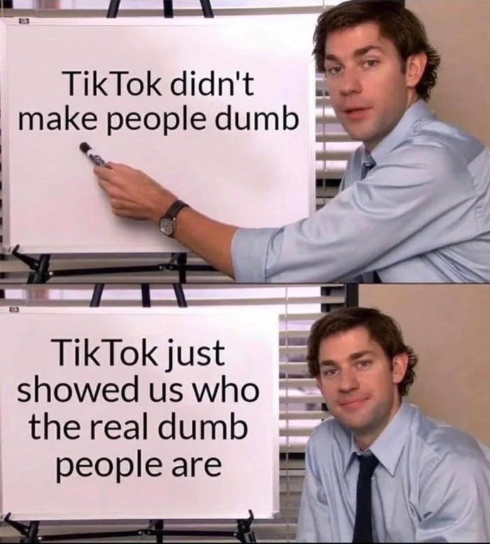 there a giant health bar - Tik Tok didn't make people dumb TikTok just showed us who the real dumb people are