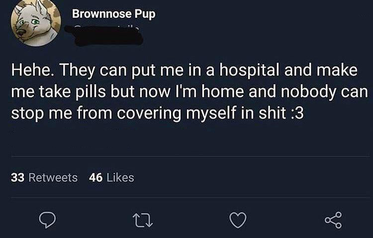 screenshot - Brownnose Pup Hehe. They can put me in a hospital and make me take pills but now I'm home and nobody can stop me from covering myself in shit 3 33 46 27 f
