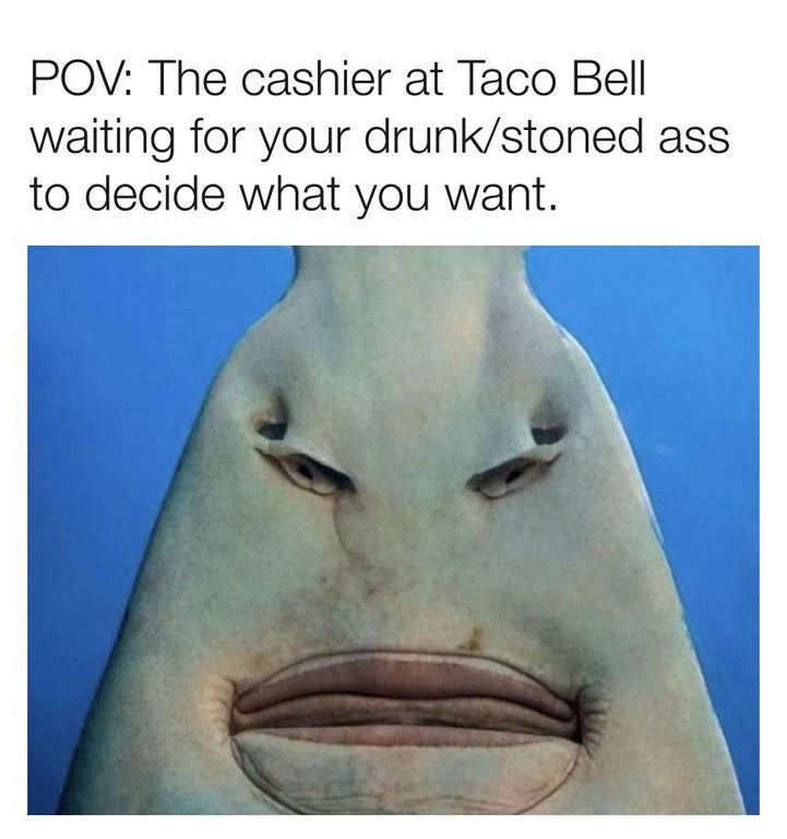 carpenter shark - Pov The cashier at Taco Bell waiting for your drunkstoned ass to decide what you want.