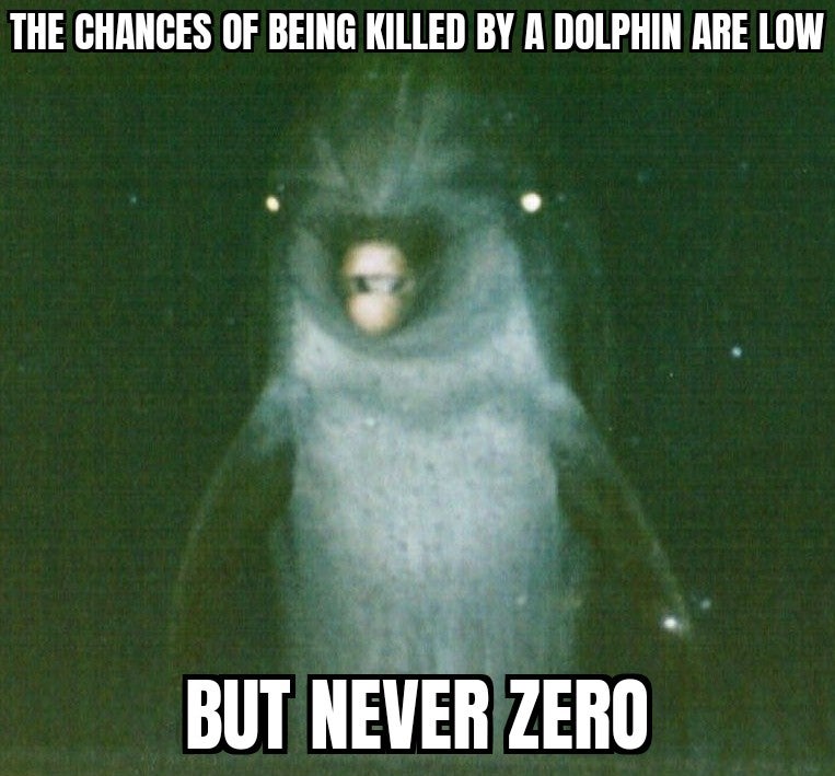 fauna - The Chances Of Being Killed By A Dolphin Are Low But Never Zero