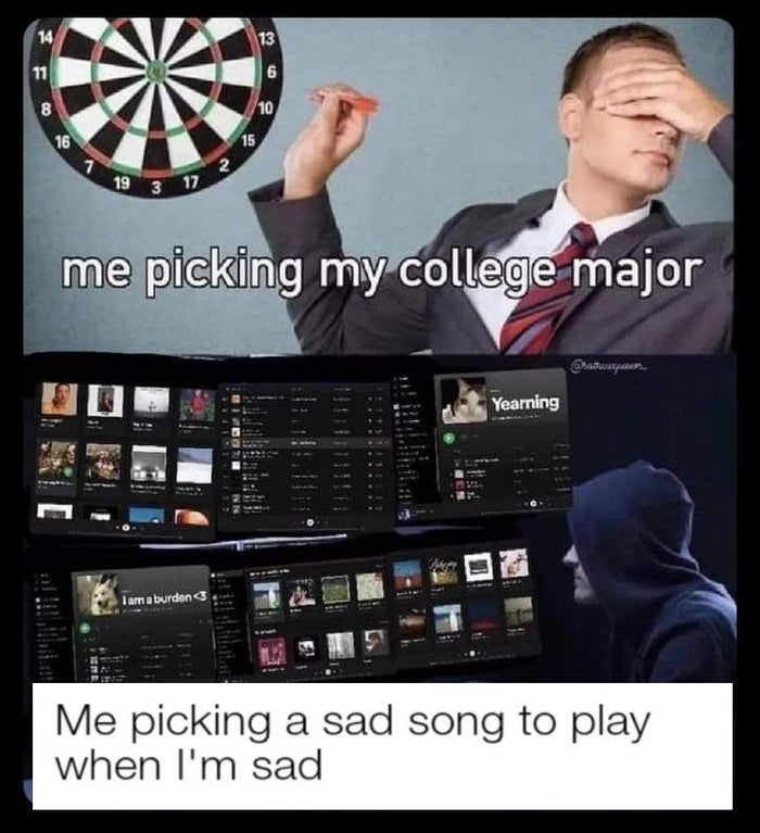 picking my major meme - 14 13 11 6 8 10 16 15 2 7 19 3 17 me picking my college major Datuur Yearning I am a burdens Me picking a sad song to play when I'm sad