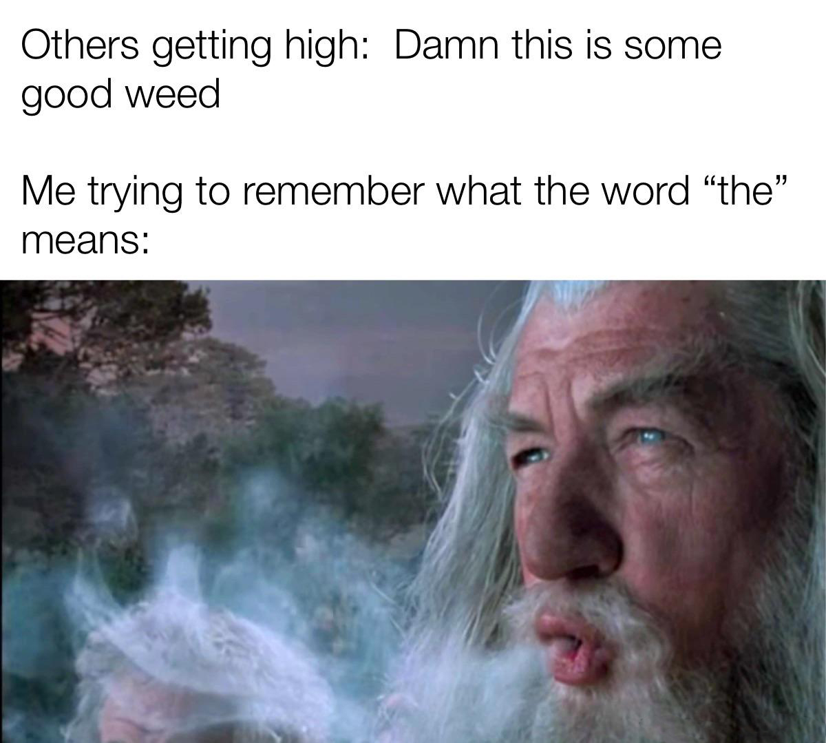 36 Fresh Memes of the Dankest Kind