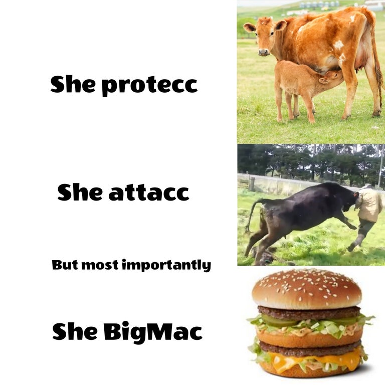 dank memes and pics - she protecc she attacc but most importantly she big mac - She protecc She attacc But most importantly She BigMac
