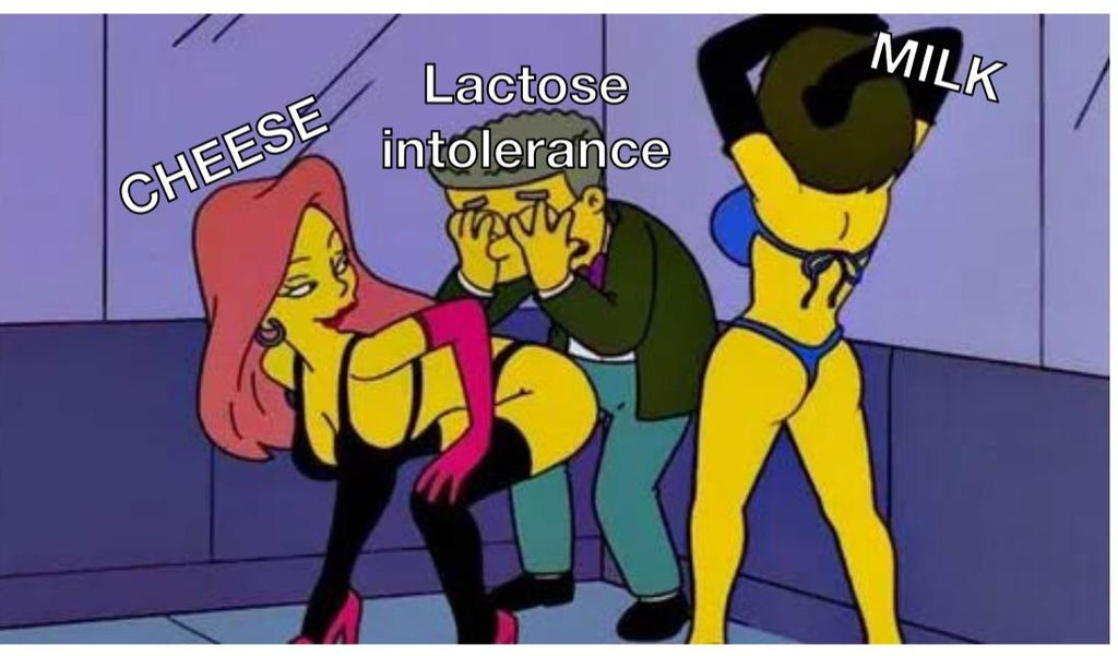 dank memes - cartoon - Milk Lactose intolerance Cheese 0