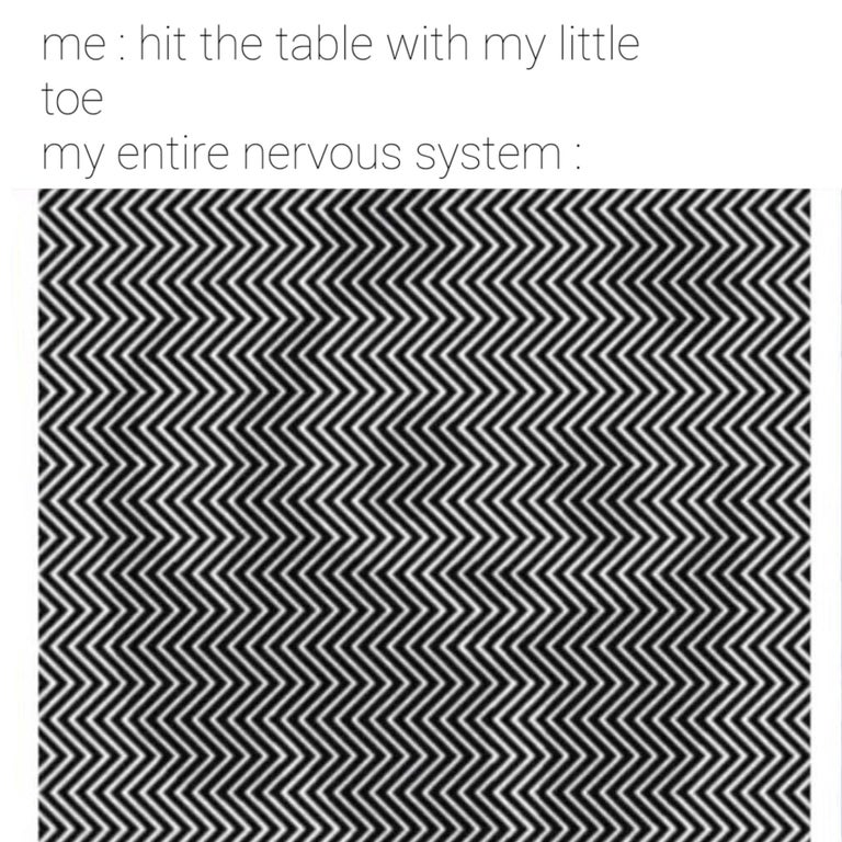 dank memes - pattern - me hit the table with my little toe my entire nervous system