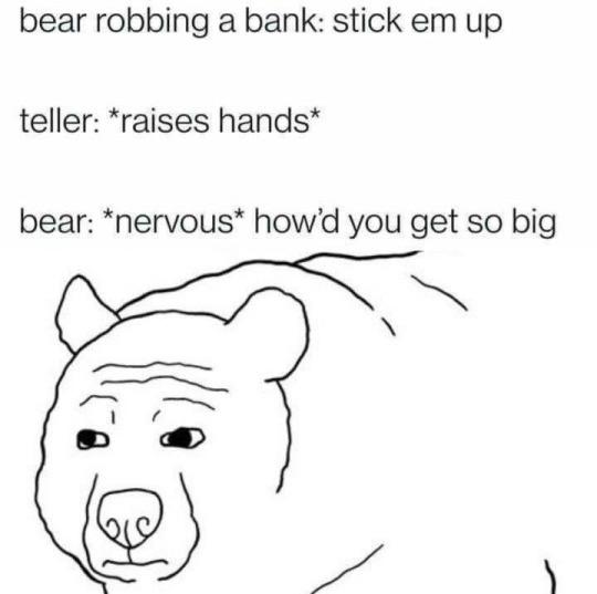 dank memes - bear robbing bank meme - bear robbing a bank stick em up teller raises hands bear nervous how'd you get so big