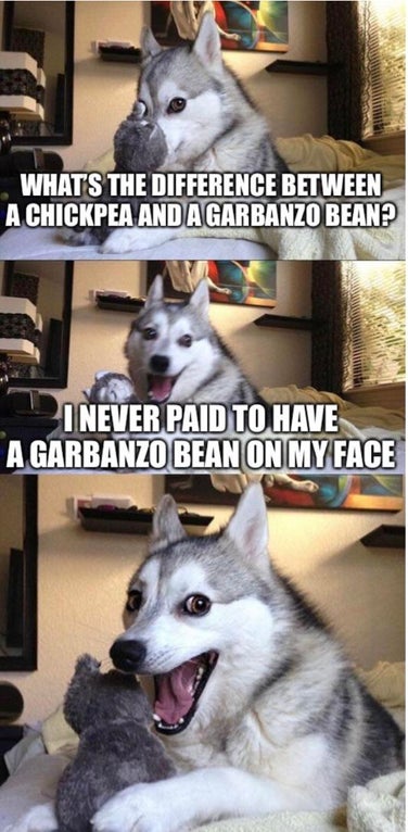 pun dog meme - What'S The Difference Between A Chickpea And A Garbanzo Bean? I Never Paid To Have A Garbanzo Bean On My Face