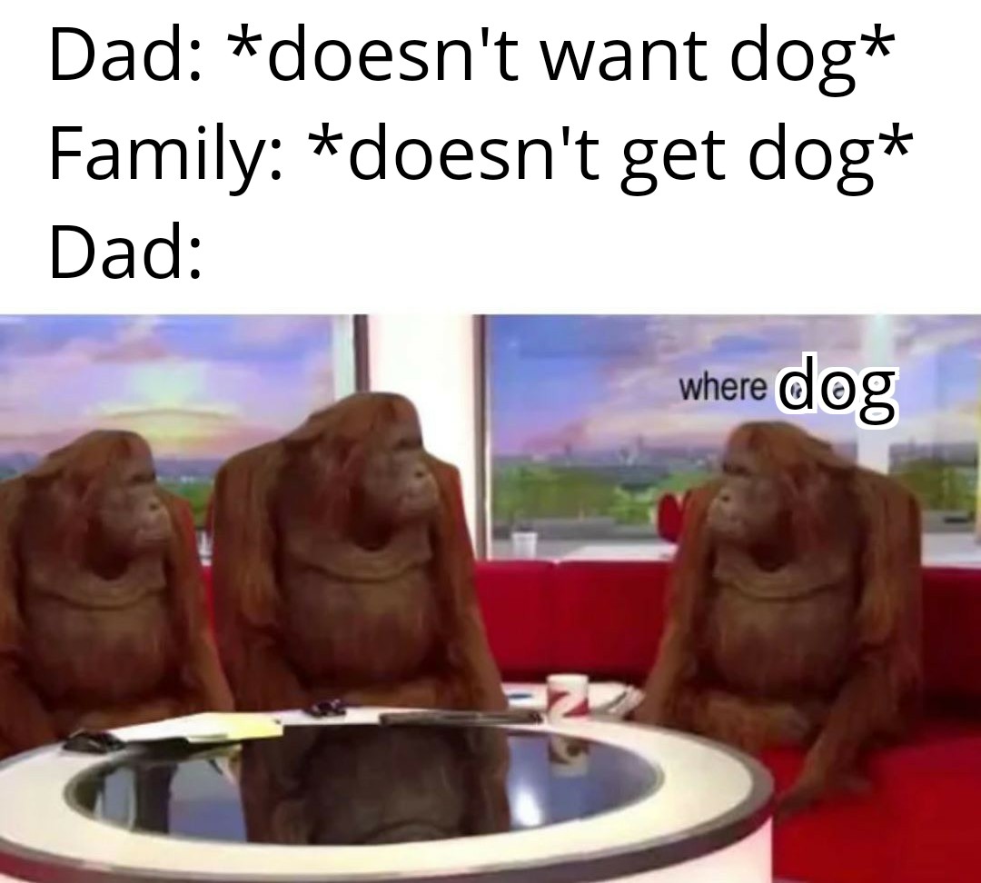 monkey where meme template - Dad doesn't want dog Family doesn't get dog Dad where dog