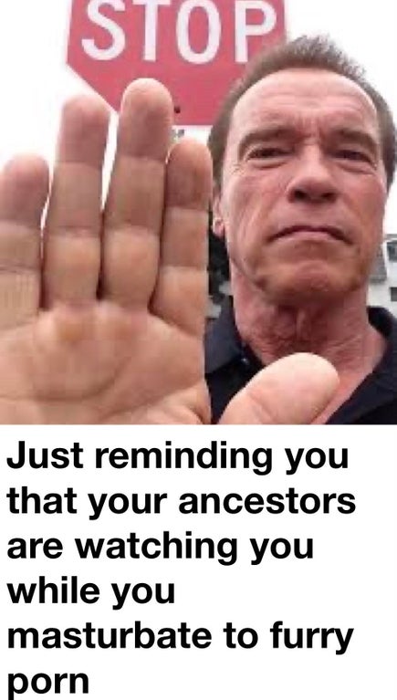 arnold schwarzenegger stop meme - Stop Just reminding you that your ancestors are watching you while you masturbate to furry porn