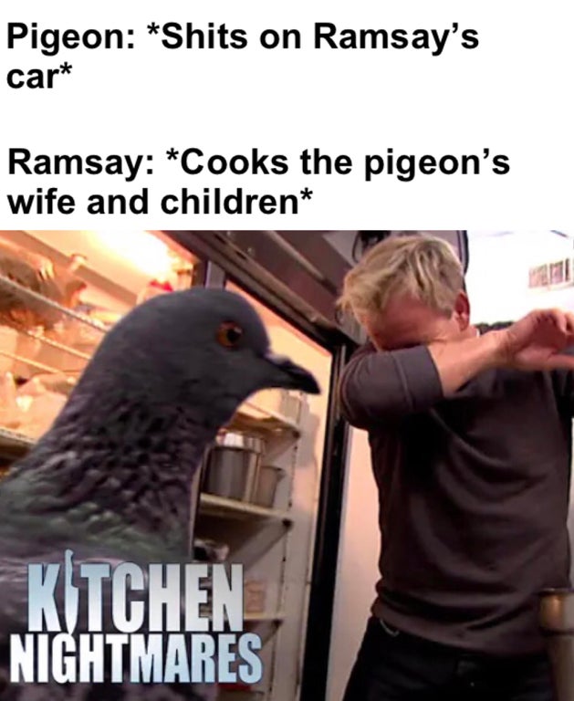 kitchen nightmares - Pigeon Shits on Ramsay's car Ramsay Cooks the pigeon's wife and children Kitchen Nightmares