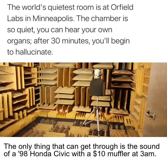 table - The world's quietest room is at Orfield Labs in Minneapolis. The chamber is so quiet, you can hear your own organs; after 30 minutes, you'll begin to hallucinate. The only thing that can get through is the sound of a '98 Honda Civic with a $10 muf