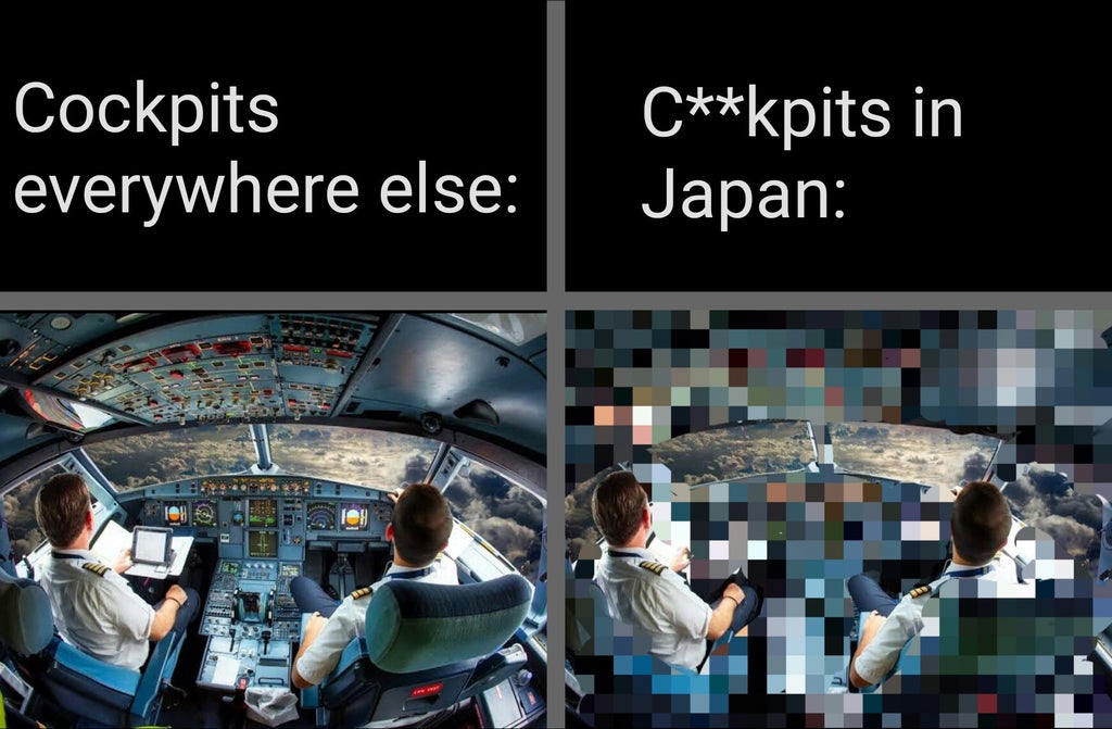 pilot flying a plane - Cockpits everywhere else Ckpits in Japan Be ley us Sa