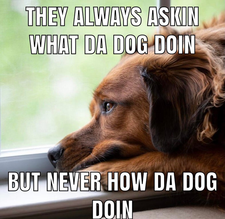 dog depression - They Always Askin What Da Dog Doin But Never How Da Dog Doin