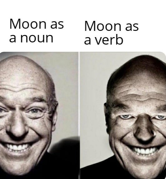 peacock poopcock meme - Moon as a noun Moon as a verb