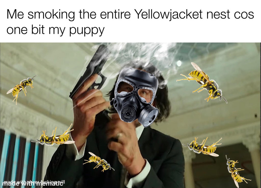 john wick wandavision meme - Me smoking the entire Yellowjacket nest cos one bit my puppy made itinerfestivat nicht
