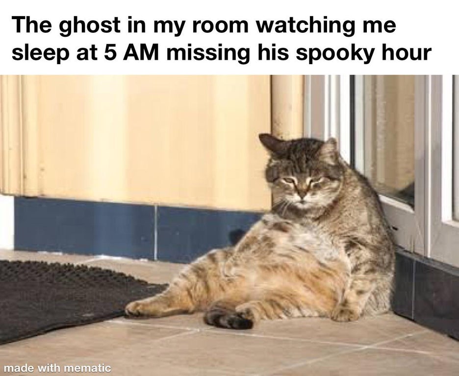 lazy cat - The ghost in my room watching me sleep at 5 Am missing his spooky hour made with mematic