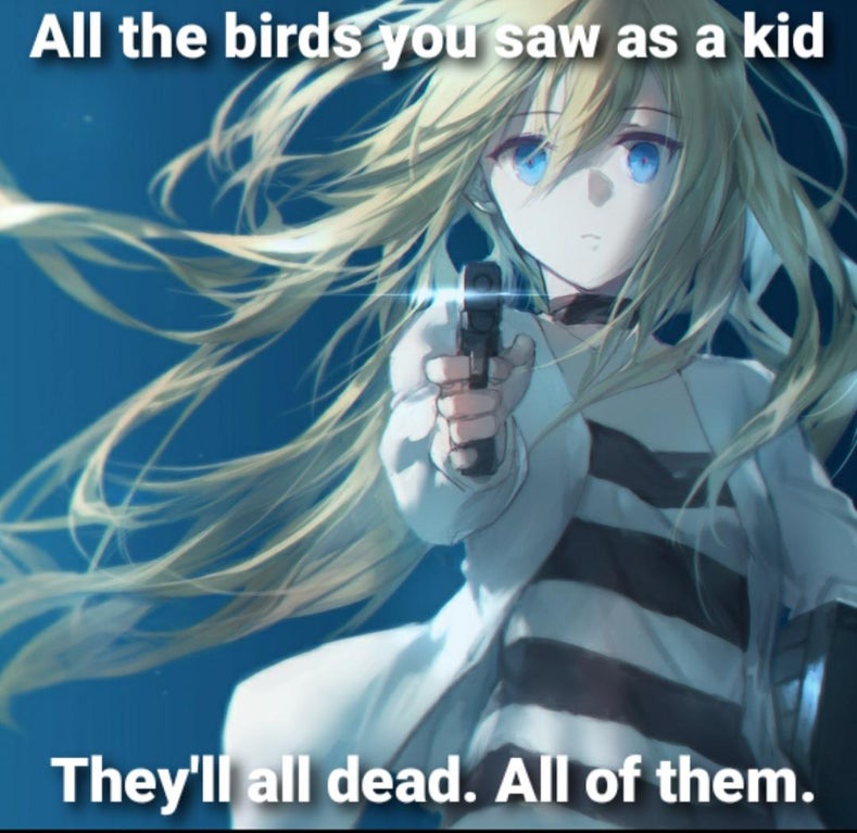 rachel gardner - All the birds you saw as a kid They'll all dead. All of them.