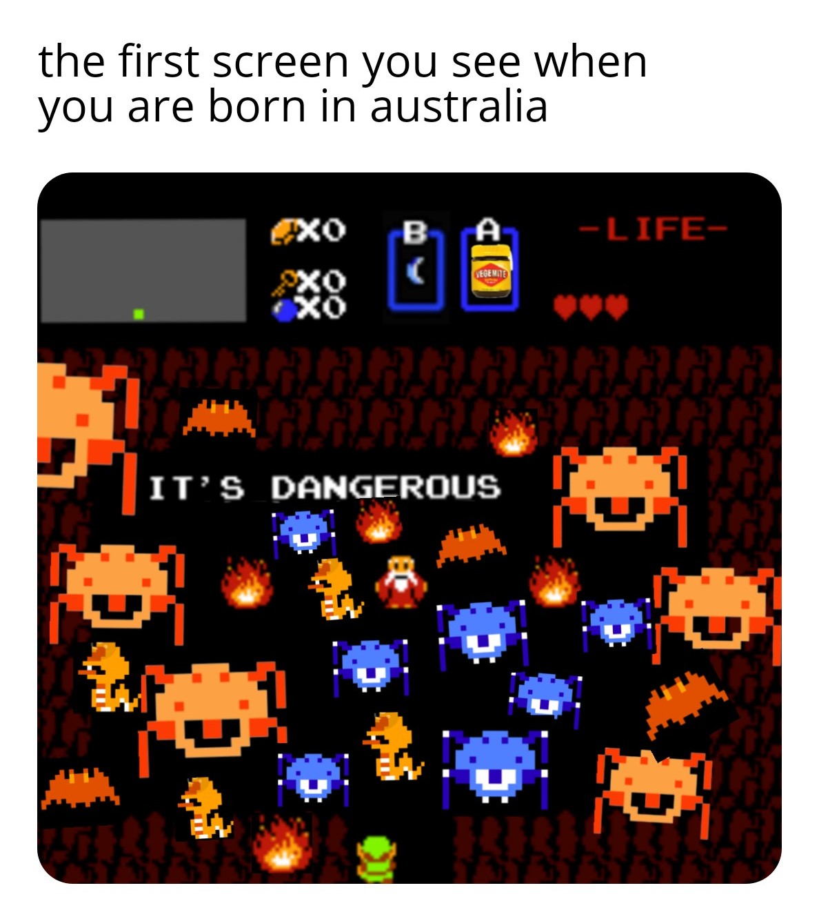 funny dank memes - orange - the first screen you see when you are born in australia B A Life Legemite It'S Dangerous