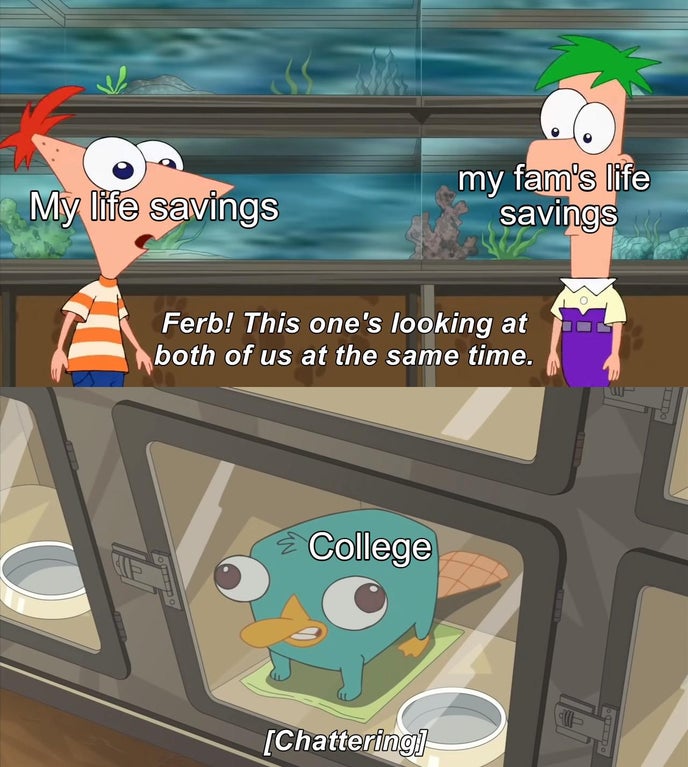funny dank memes - one's looking at both of us template - My life savings my fam's life savings Ferb! This one's looking at both of us at the same time. Lito College och Tai Chattering Do