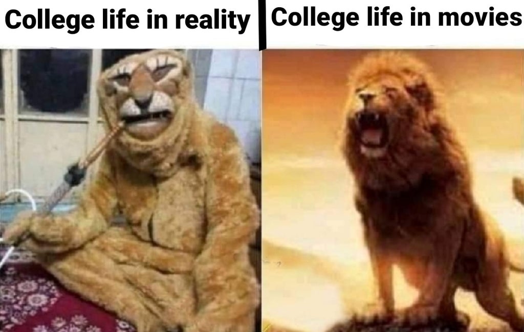lion king - College life in reality College life in movies