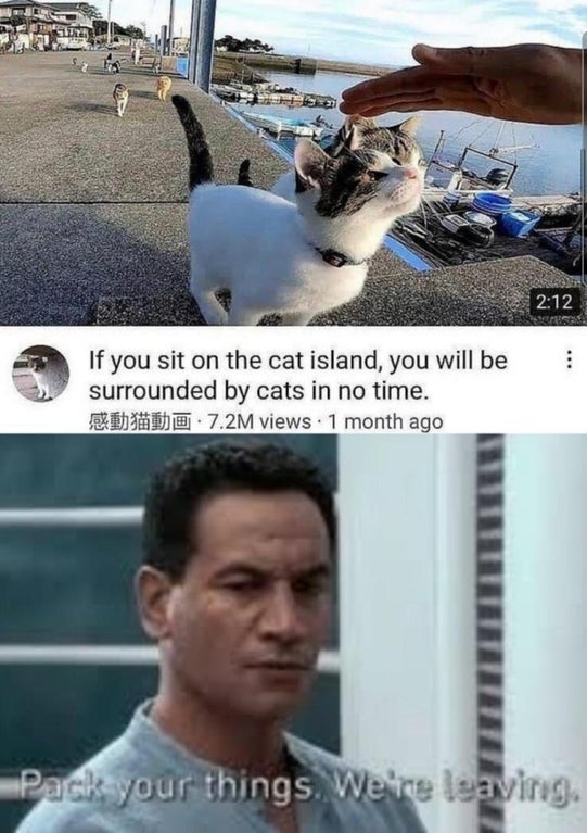 pack your bags we re leaving meme template - you sit on the cat island, you will be surrounded by cats in no time. 0.7.2M views. 1 month ago Pack your things. We're leaving.